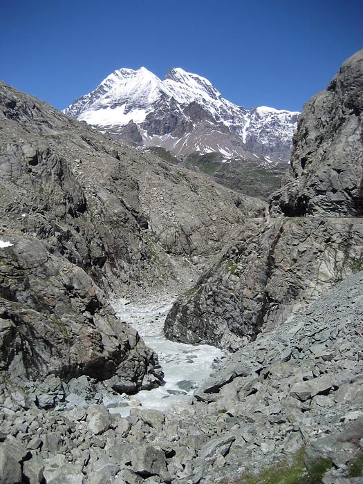 vvv_0173_b.jpg